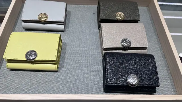ロエベの気になるスモールウォレットの画像_5