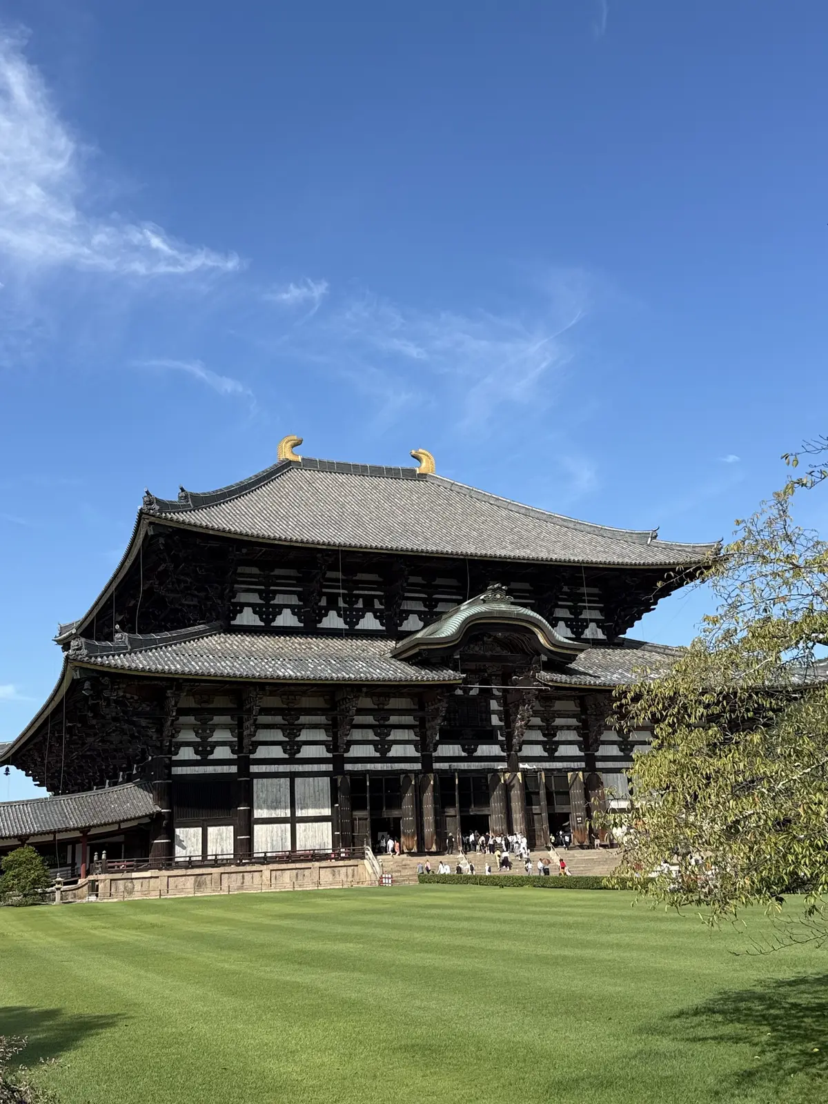 奈良　奈良公園　東大寺　南大門　大仏殿　奈良の大仏　二月堂　絶景　奈良観光　奈良観光スポット　中谷堂　よもぎ餅　高速餅つき