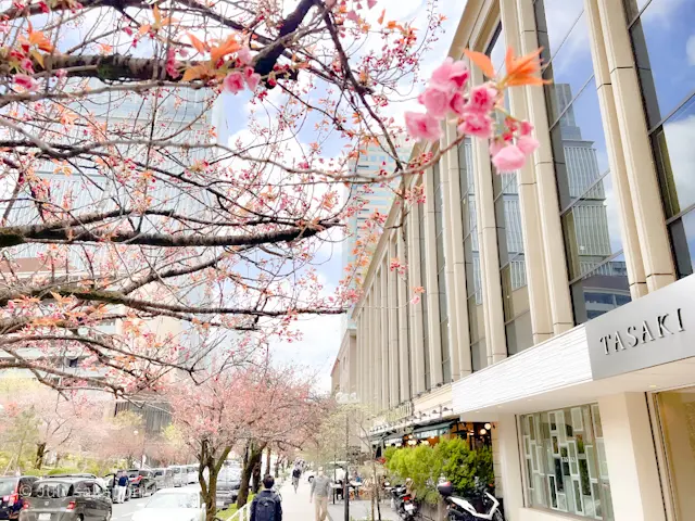 【さかぽんの冒険】建築探訪『奇跡の一本松の画像_17