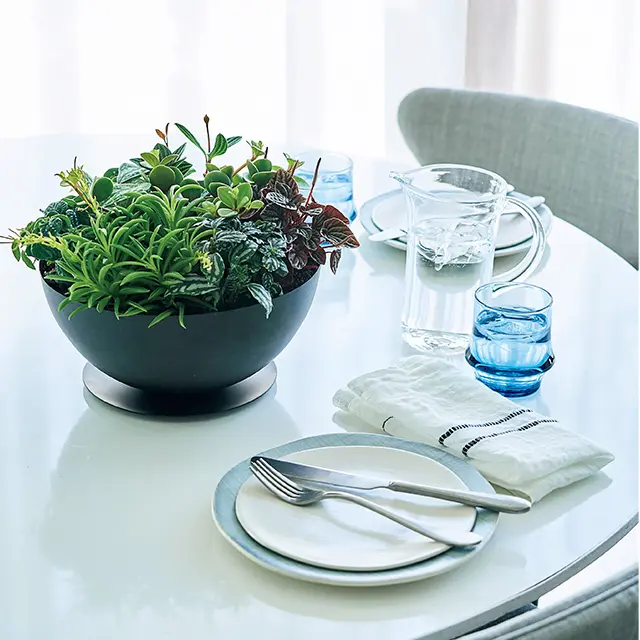 夏の快適インテリア「グリーン」や「リネンの画像_3