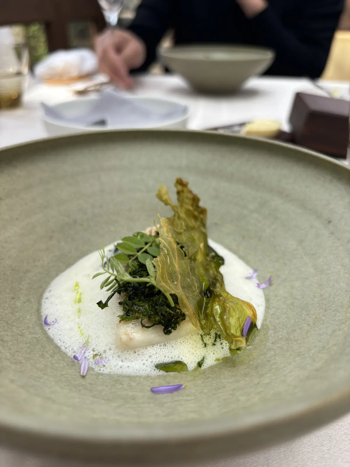 千年の森の桜の木の下で極上の仏蘭西料理にの画像_6