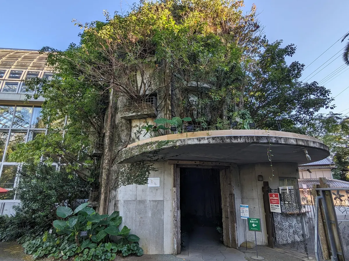 高知やき！ 盛り沢山な大人女子旅になったの画像_5