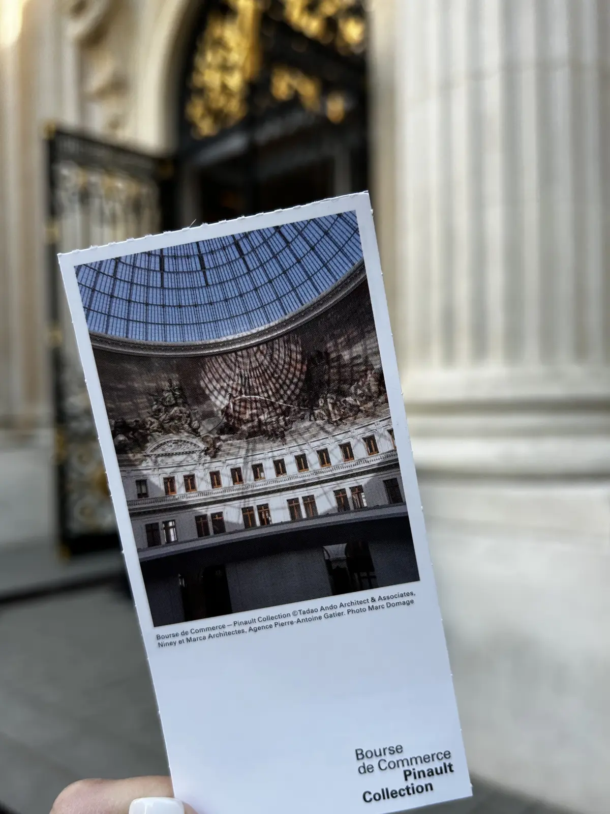 安藤忠雄が手掛けた「ピノー・コレクション」　