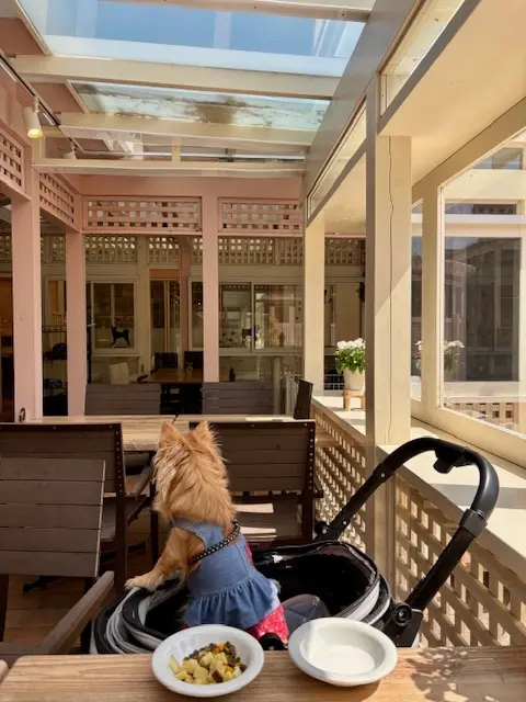 春のおでかけは、お気に入りのGUのワイドの画像_3