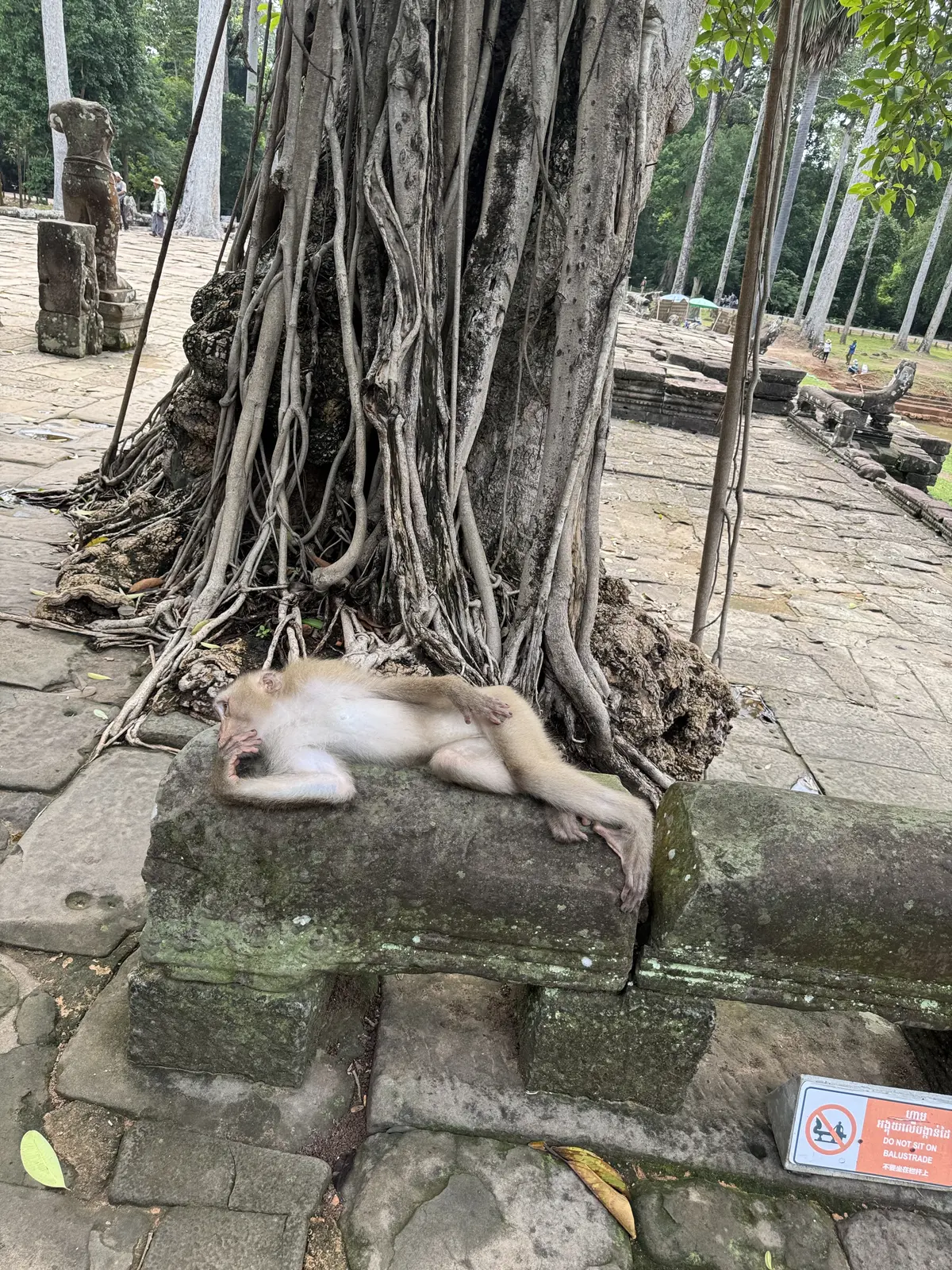 夏旅 to CAMBODIA🇰🇭後編（必の画像_20
