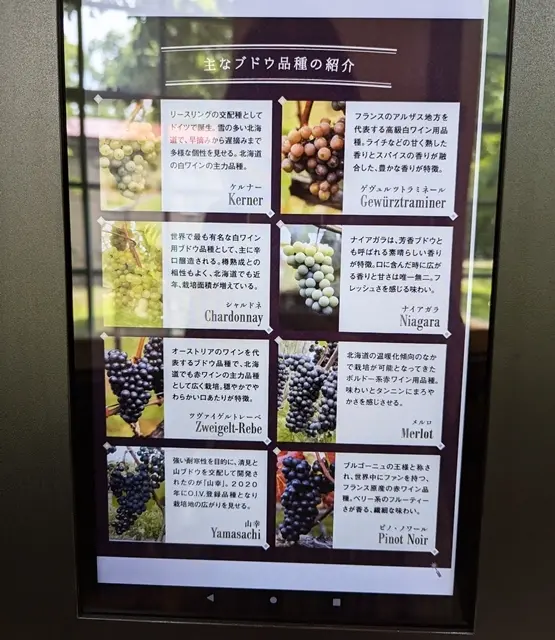 北海道産ワイン3種のテイスティングの画像_14