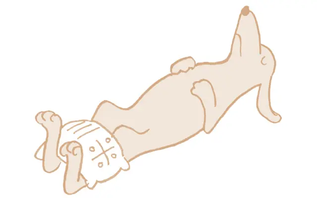 ＜自律神経を整える対症療法ワーク②＞重さのあるものをすねにのせる