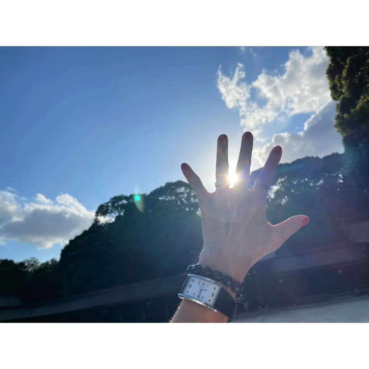 秋の神社巡り＆ランチの画像_12