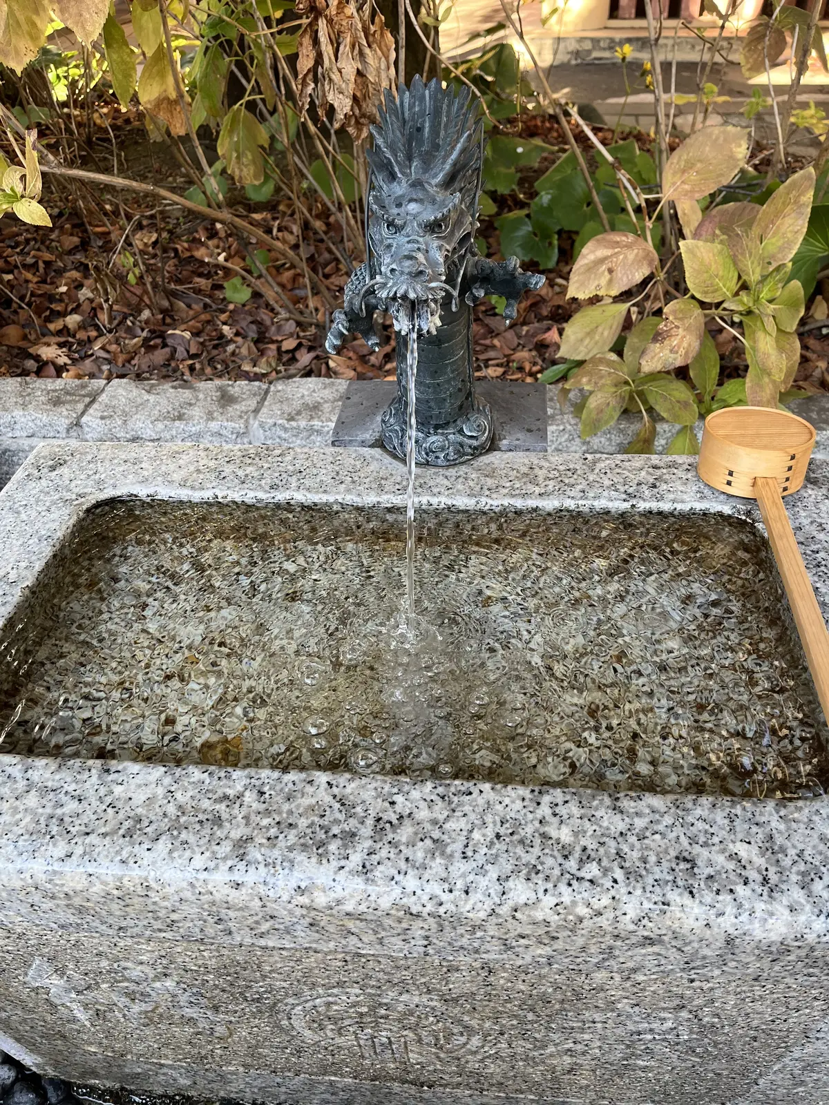 2024年、始まってますね。の画像_17