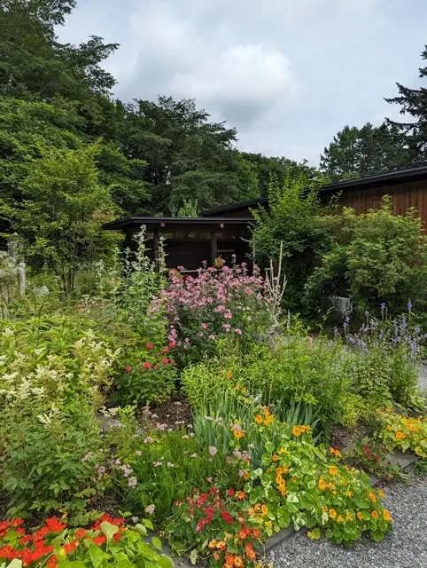 カフェ入り口のお花