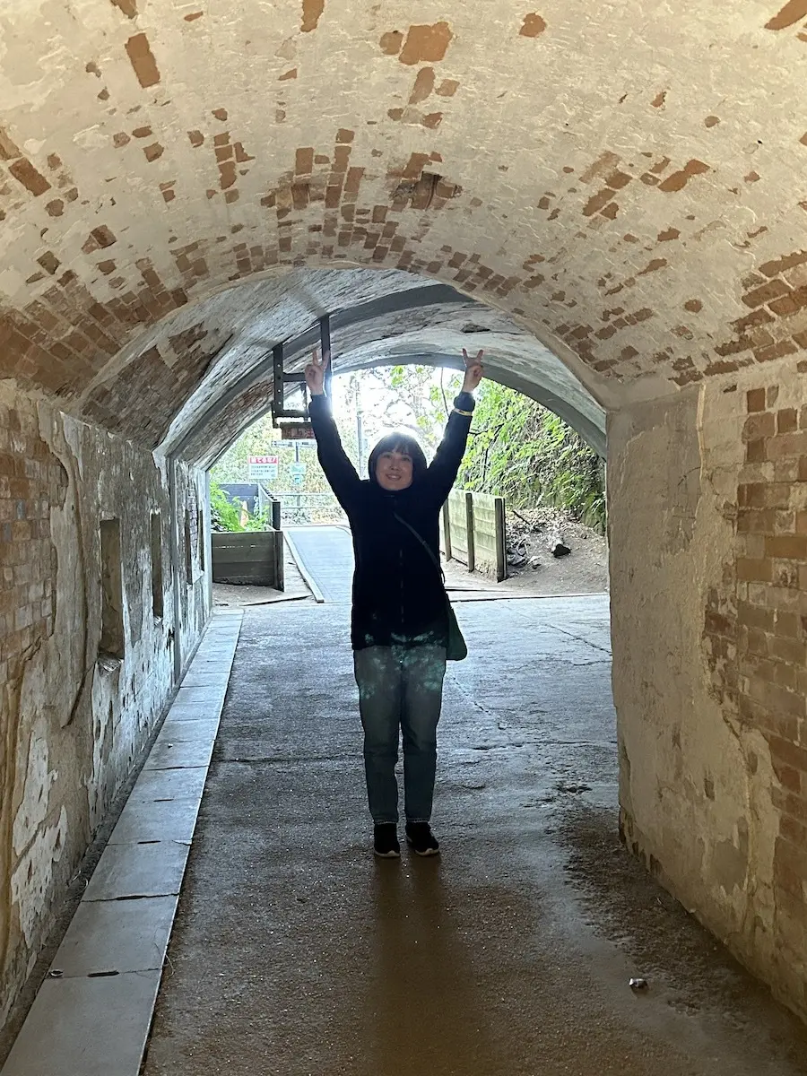 猿島エコツアー