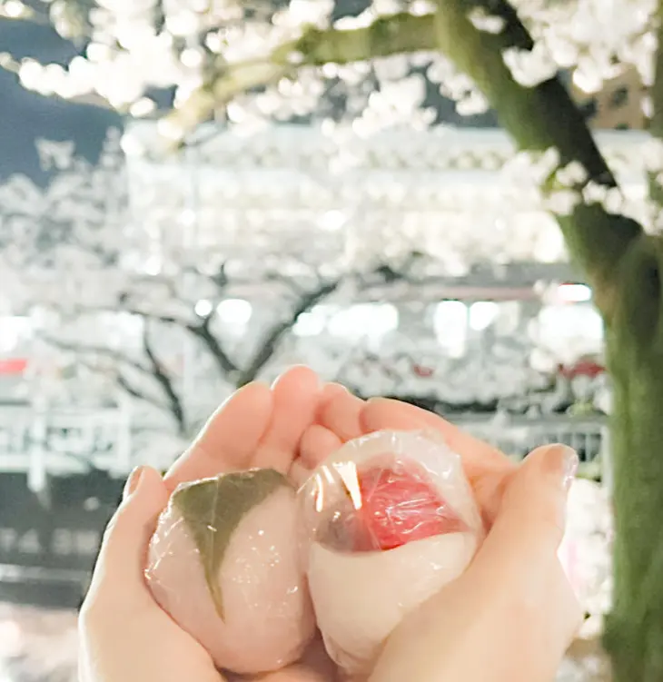 中目黒🌸まつり2024【夜桜編】の画像_6