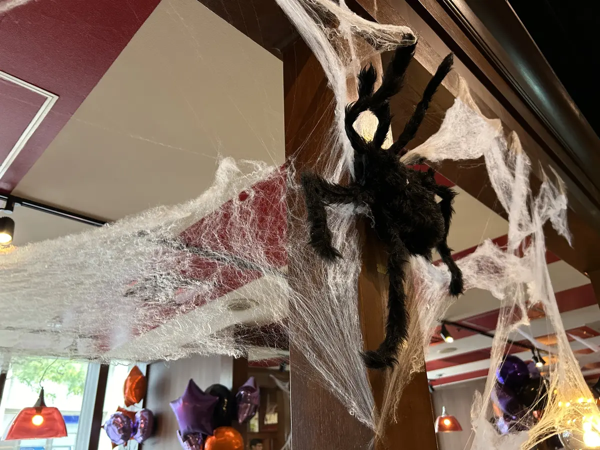 秋色シアーシャツで横浜・山下公園界隈への画像_4