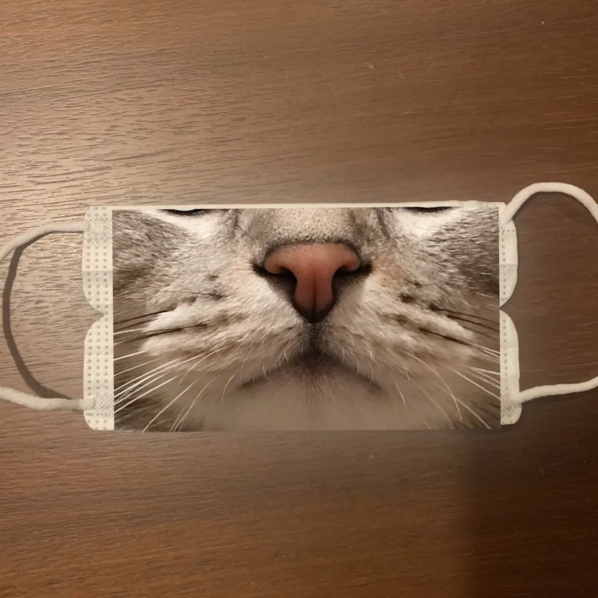 アランのマズルのマスク