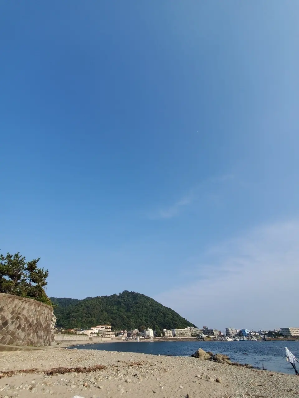 ワンコと一緒に海へお出かけの画像_2