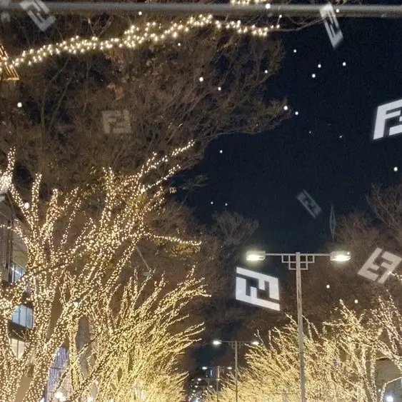 FENDIバスでイルミネーション巡り♪の画像_4