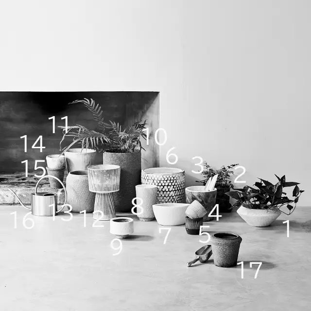 センスのある鉢