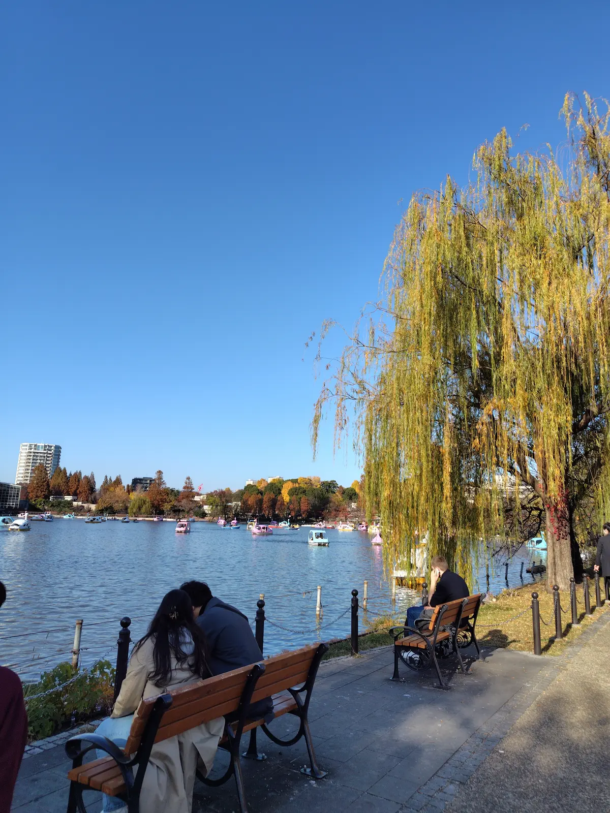 スカーフスタイルで紅葉の上野&老舗グルメの画像_6