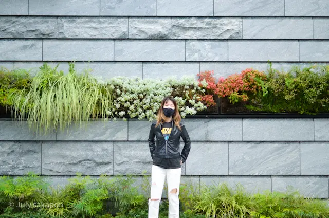 【さかぽんの履歴書】⑧ジャケットの育て方の画像_8