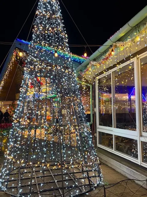 ドイツ村のウィンターイルミネーション素敵の画像_1