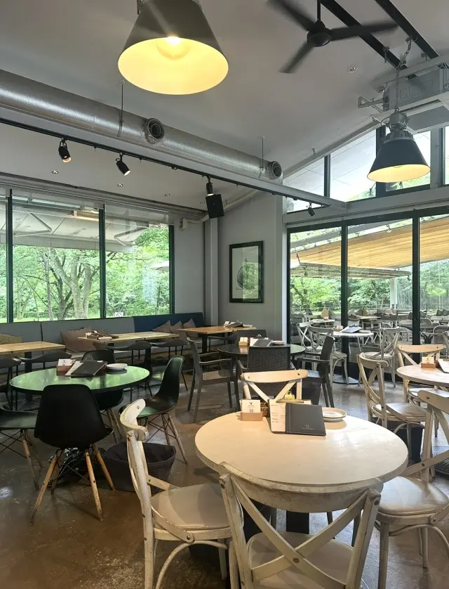 京都観光スタイルは大好きなメタリックコーの画像_4