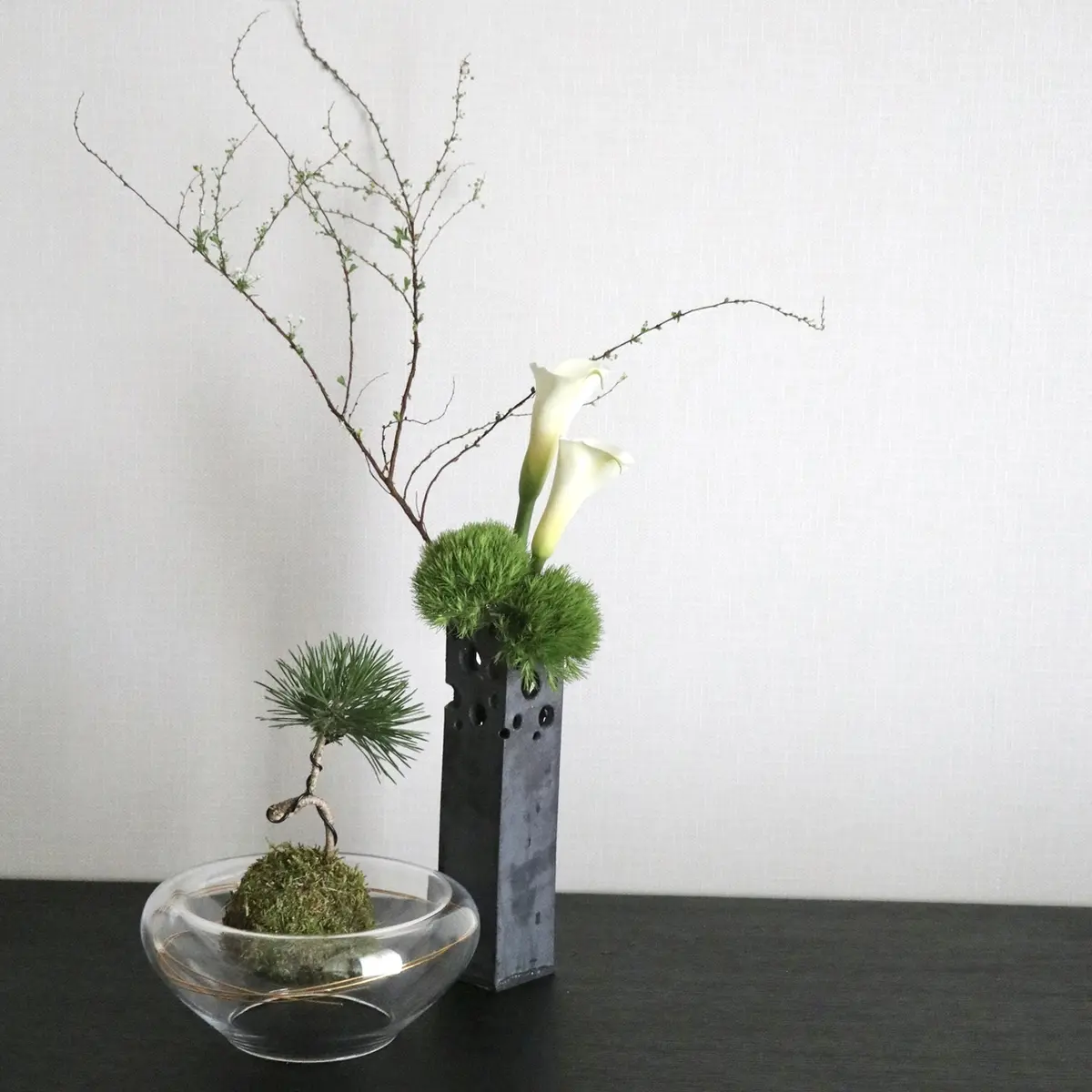 我が家のグリーン