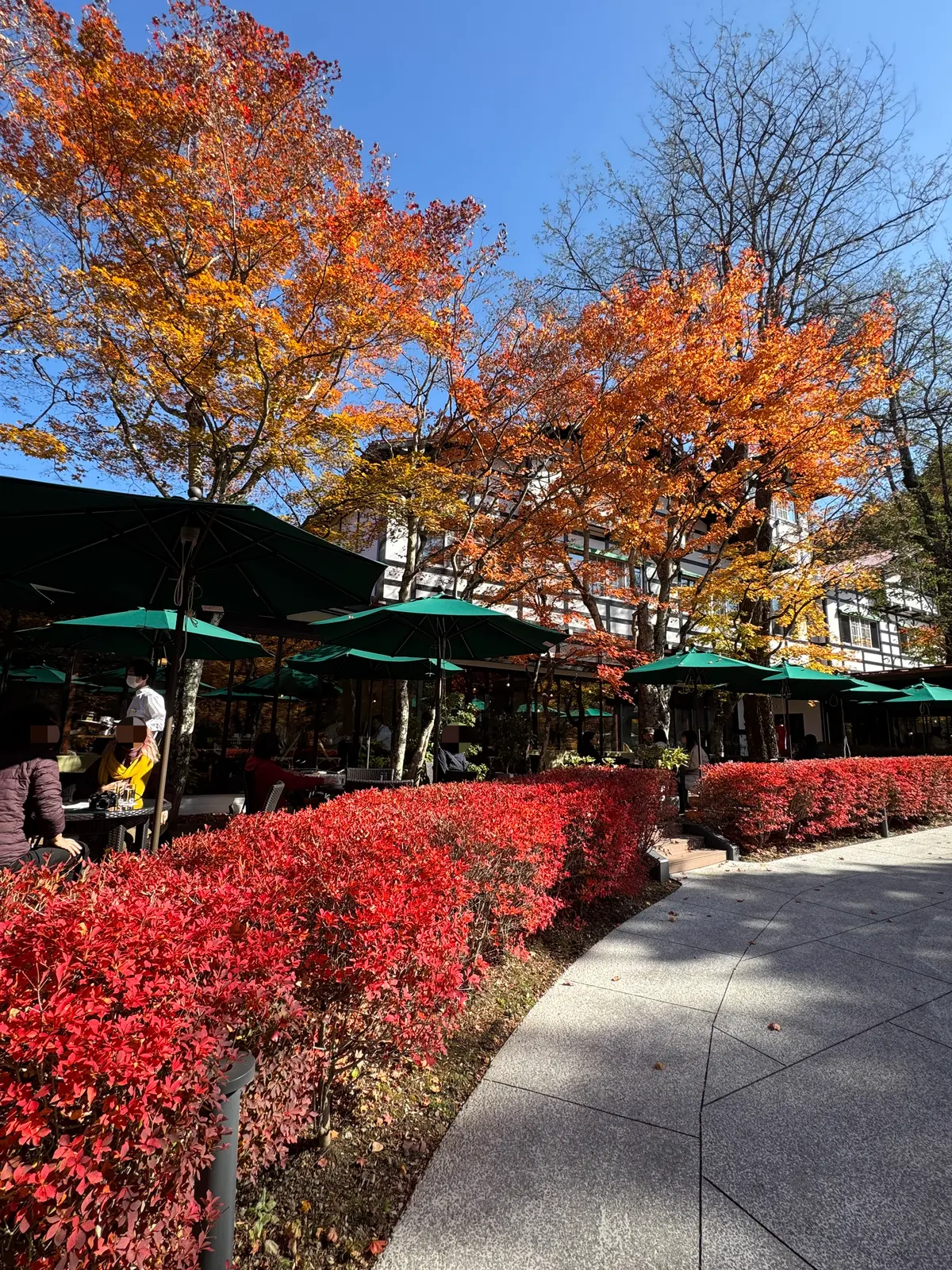万平ホテル　カフェテラス