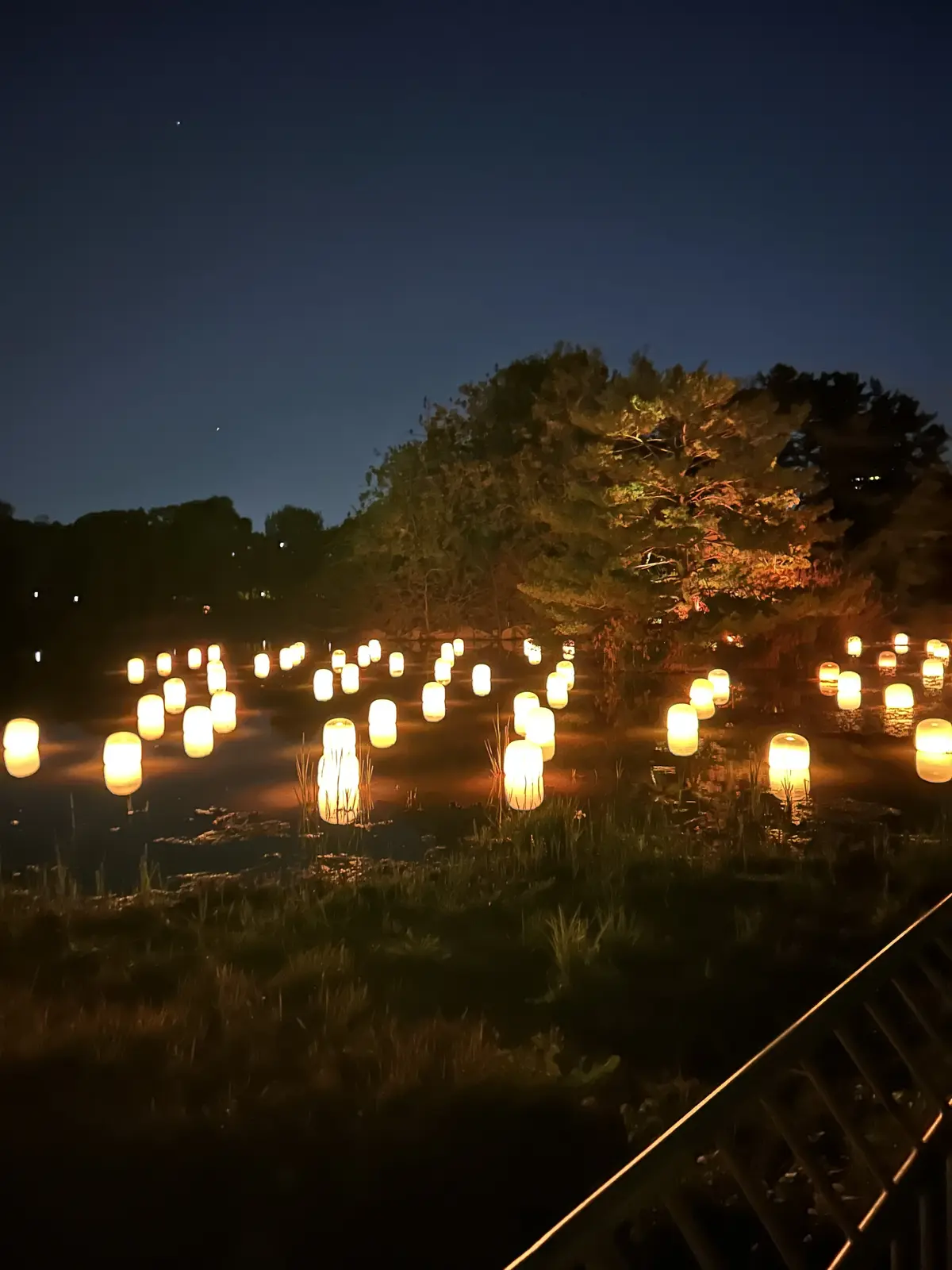 幻想的な夜✨✨　チームラボ　ボタニカルガの画像_10