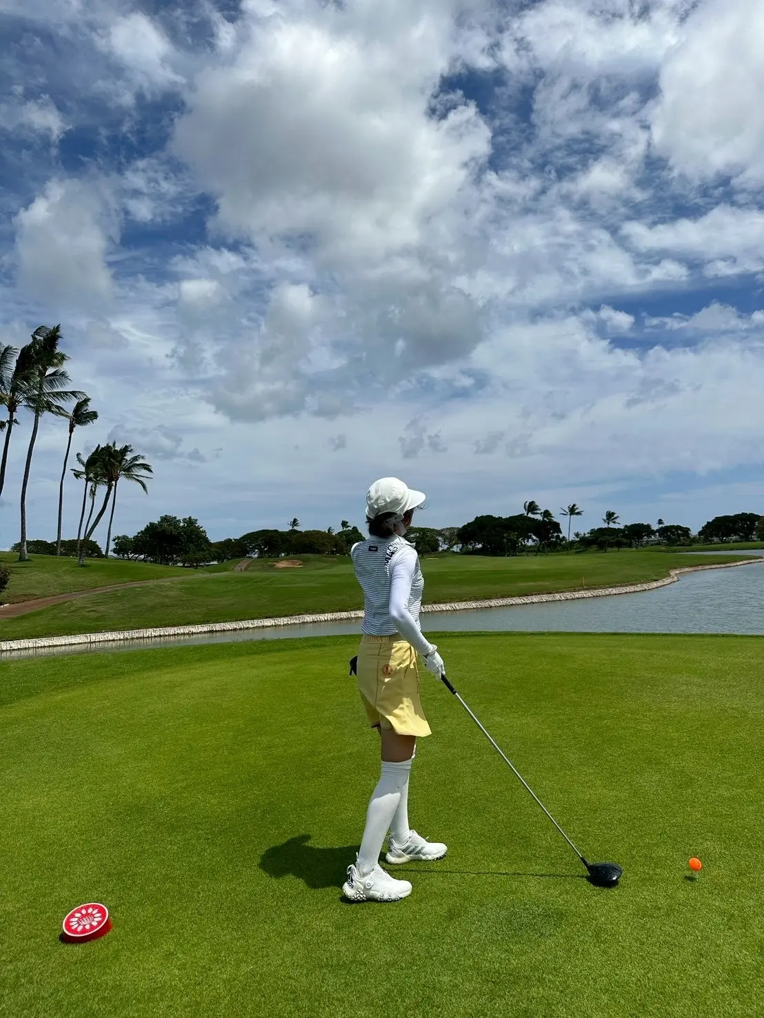 ハワイでのアクティビティの画像_7