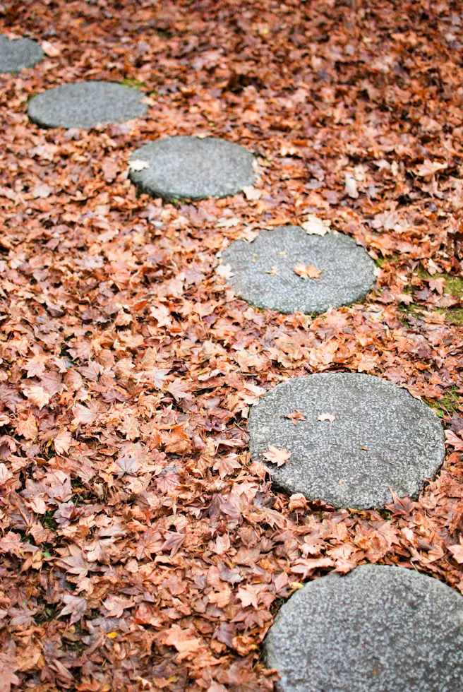 【さかぽんの冒険】レガシー❤️万平ホテルの画像_11