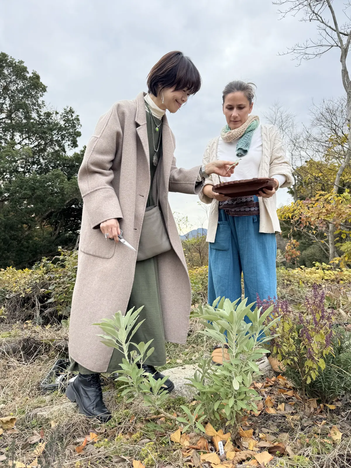 アーユルヴェーダリトリートin AWAJの画像_5