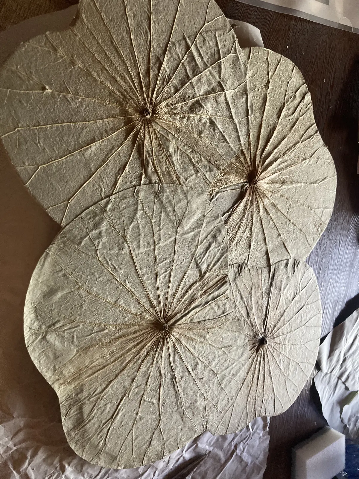 京都同時代ギャラリーで作家デビューしましの画像_3