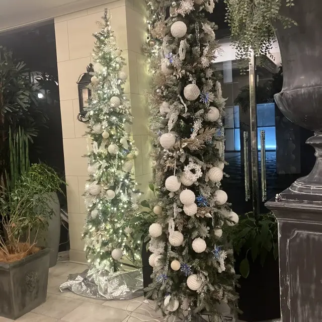 ソワレドゥエクラのコーディネートの画像_3