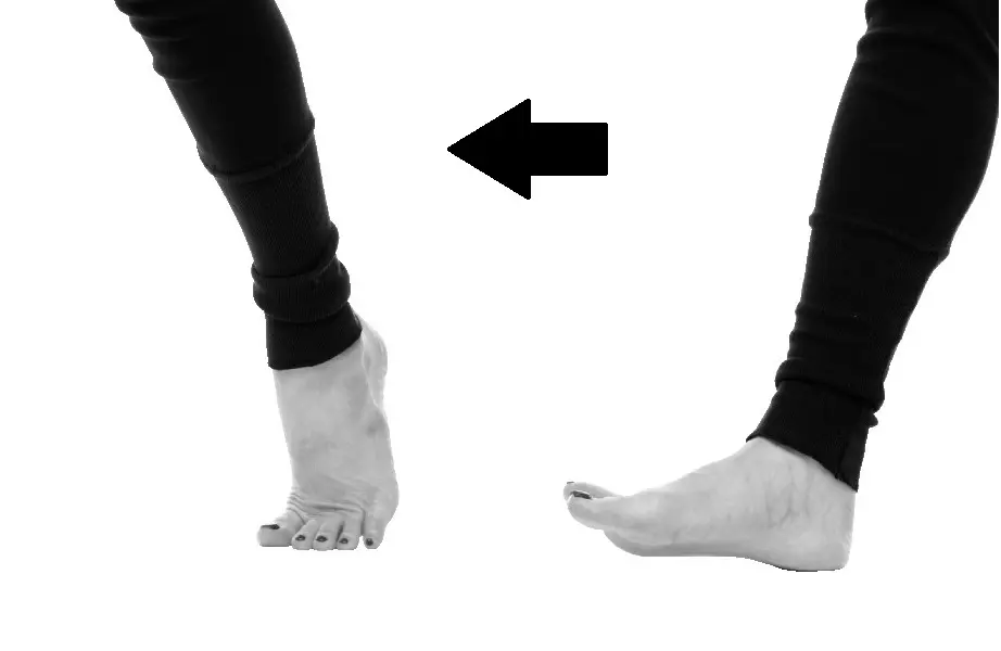 日ごろからできる猫背＆ぽっこりお腹予防法の画像_8