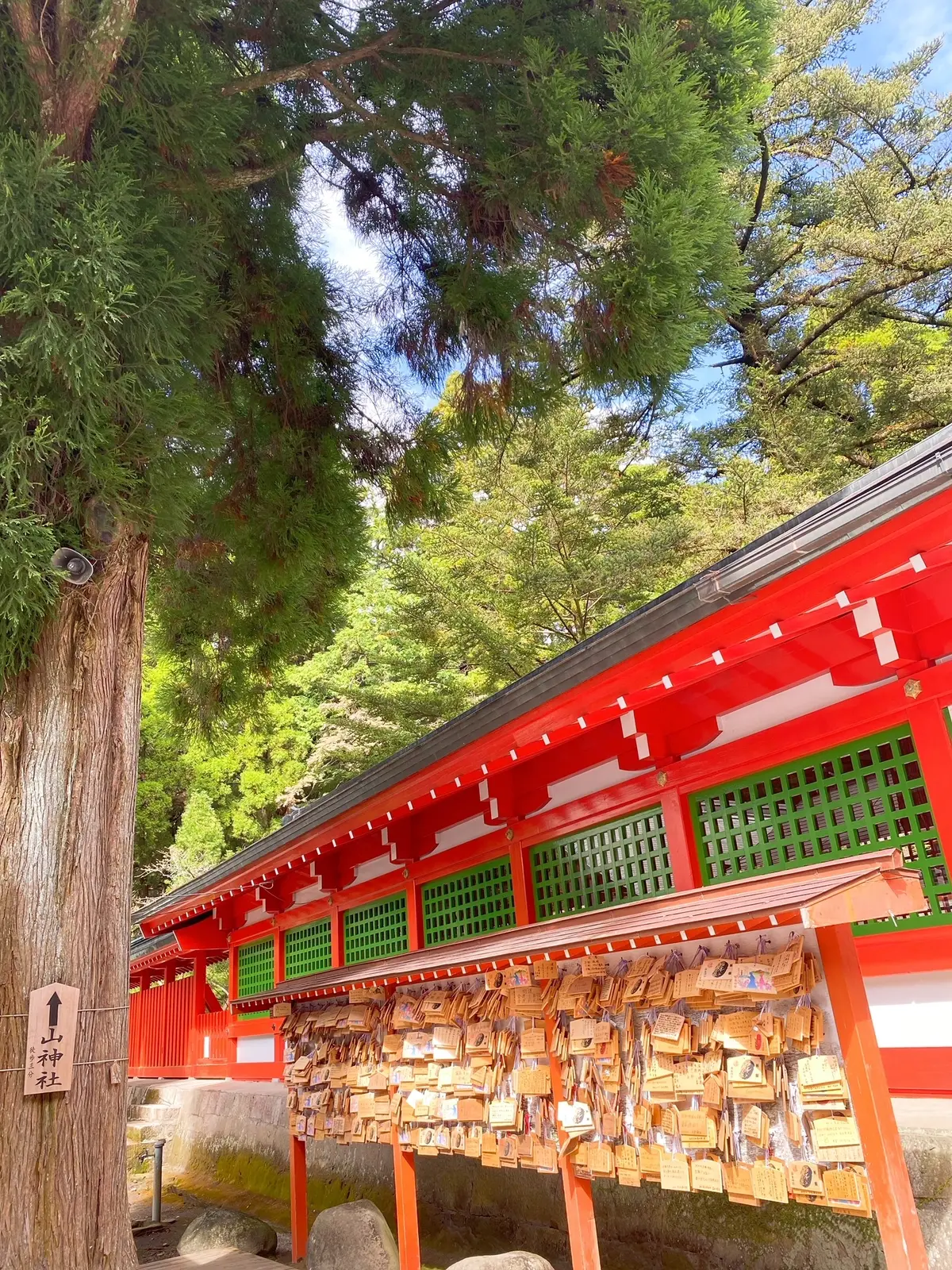 九州旅行へ　〜霧島神社・別府温泉編〜 の画像_8