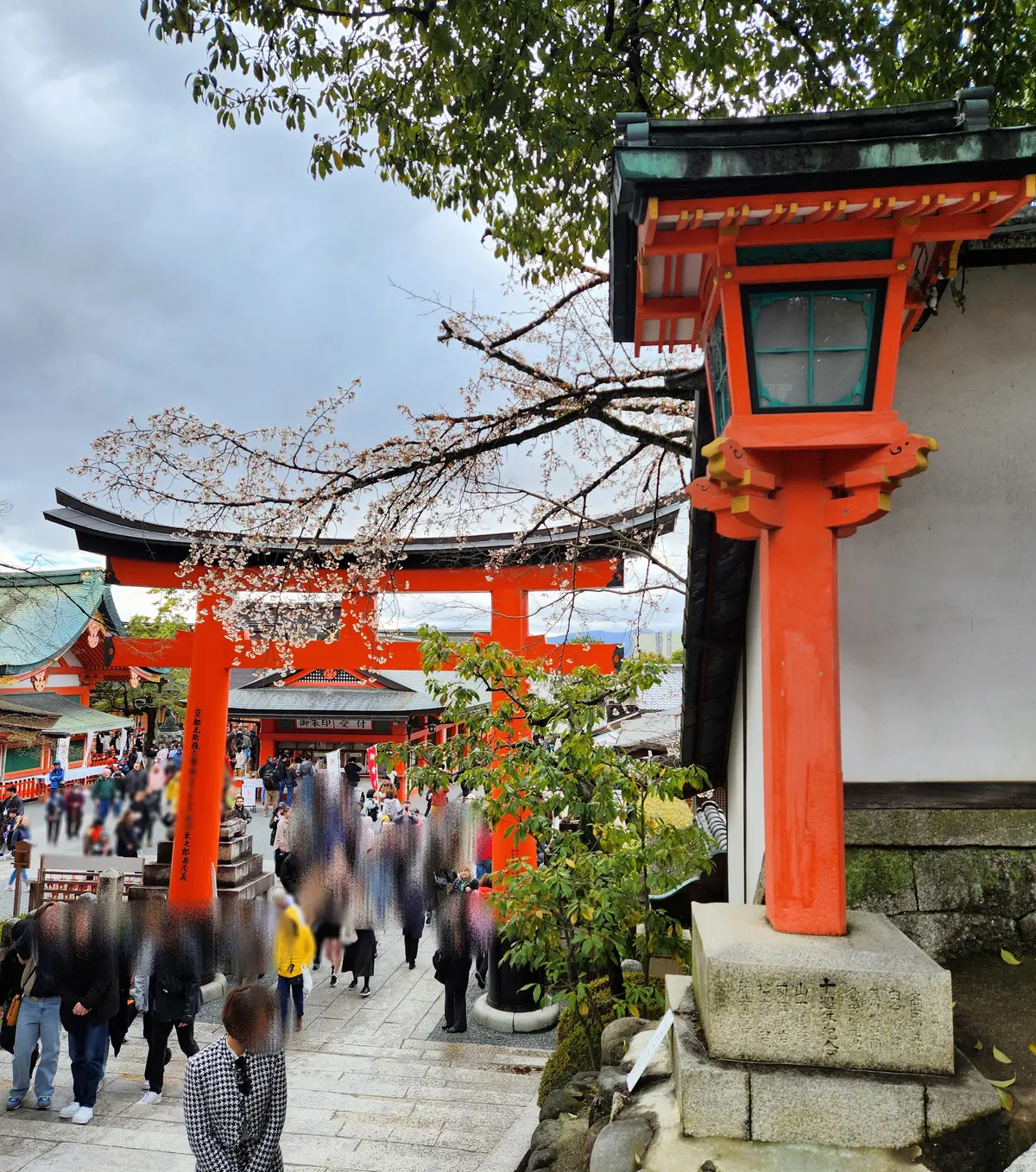 鳥居と桜、絵になりますね。
