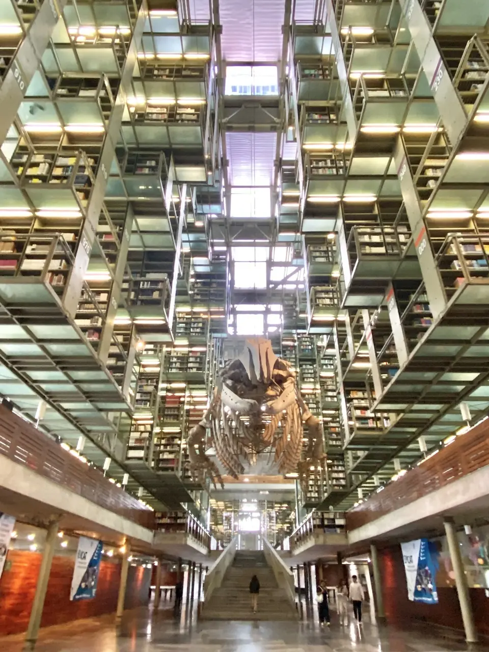 Biblioteca Vasconcelos ②