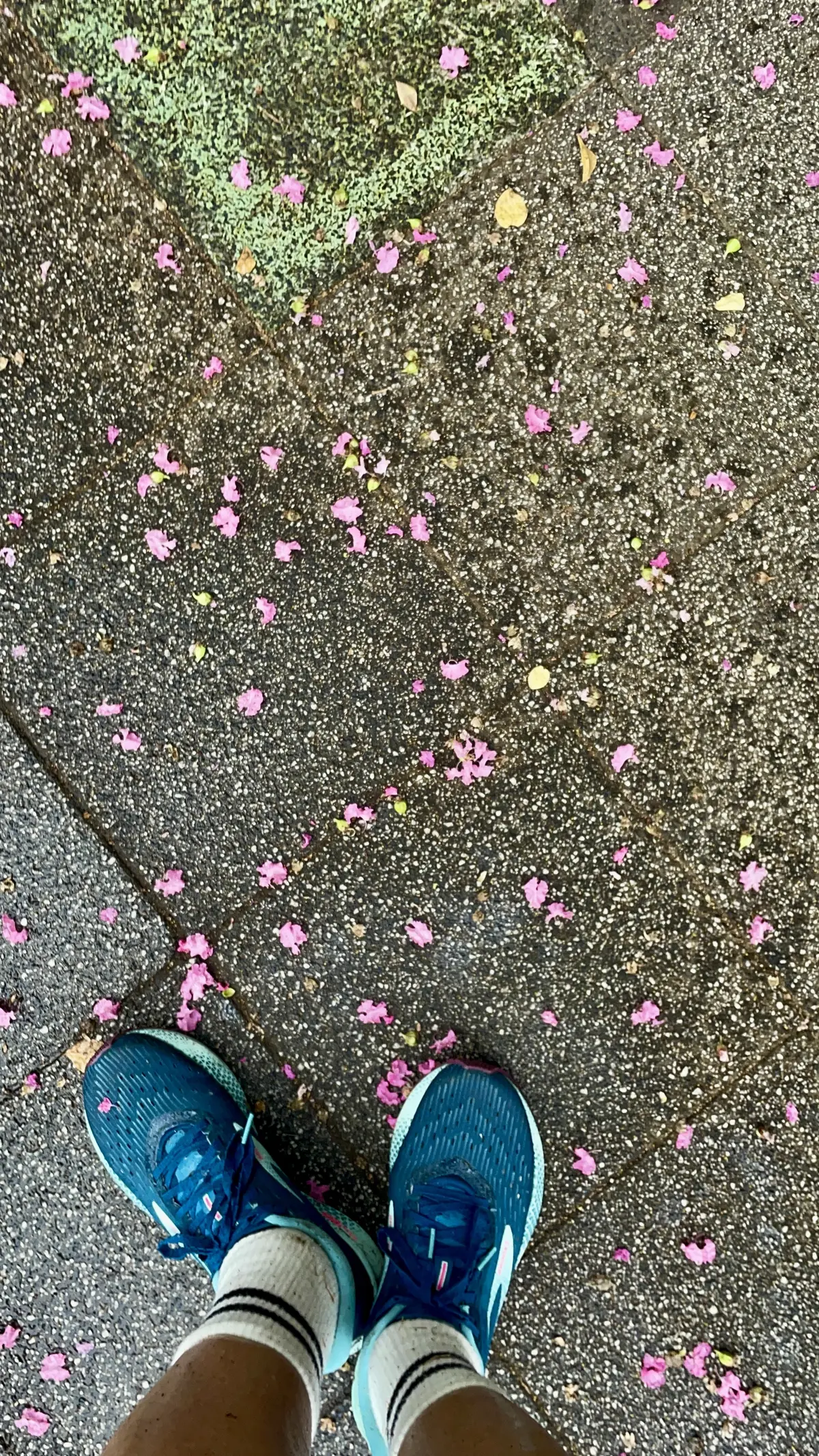 わかりづらいけど、ブルックスのランニングシューズ。