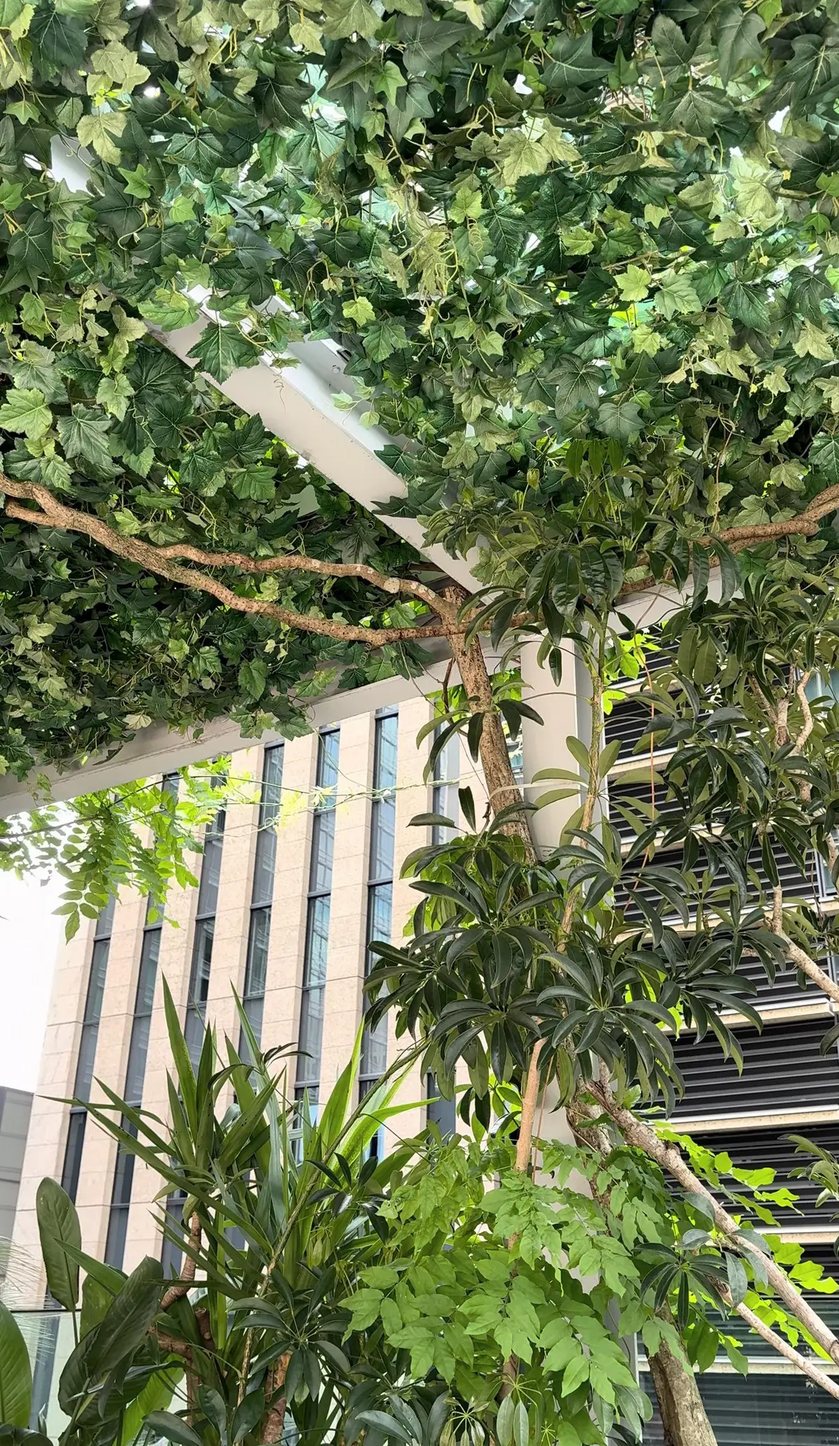 GW学生時代友人たちとランチ会@東京駅の画像_6