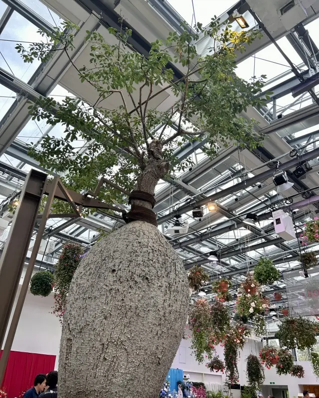 秋の東京おすすめお出かけスポットの画像_1