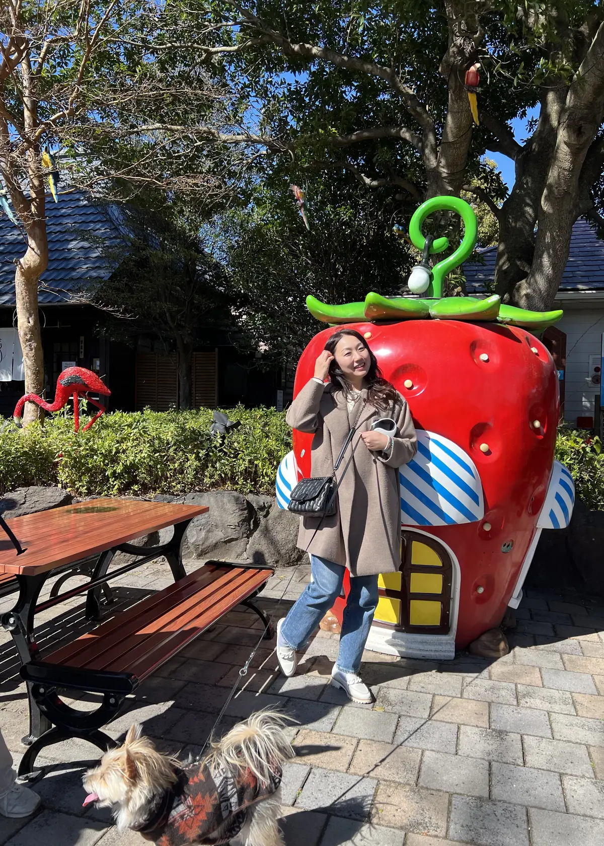 伊豆ぐらんぱる公園にて