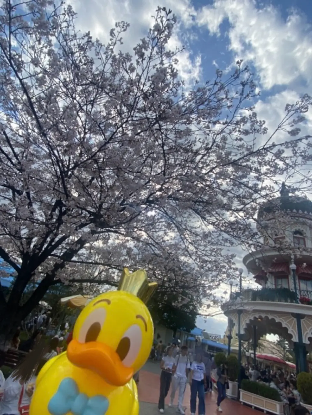 ひとりディズニーデビューの画像_4