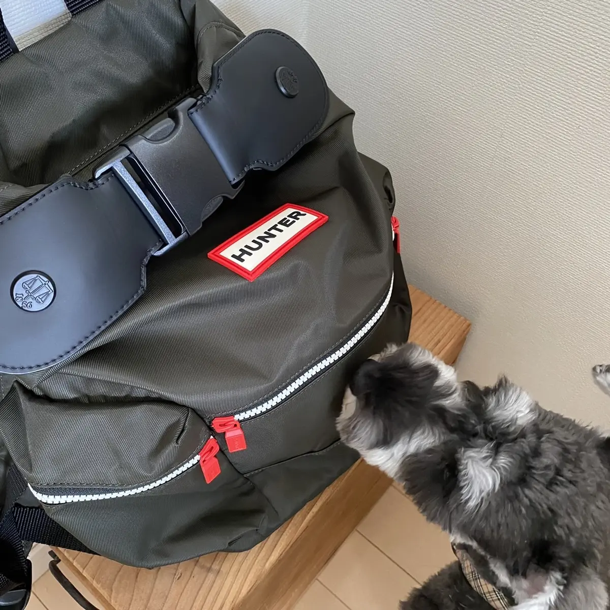 151㎝　小柄さんスタイル⑧の画像_1