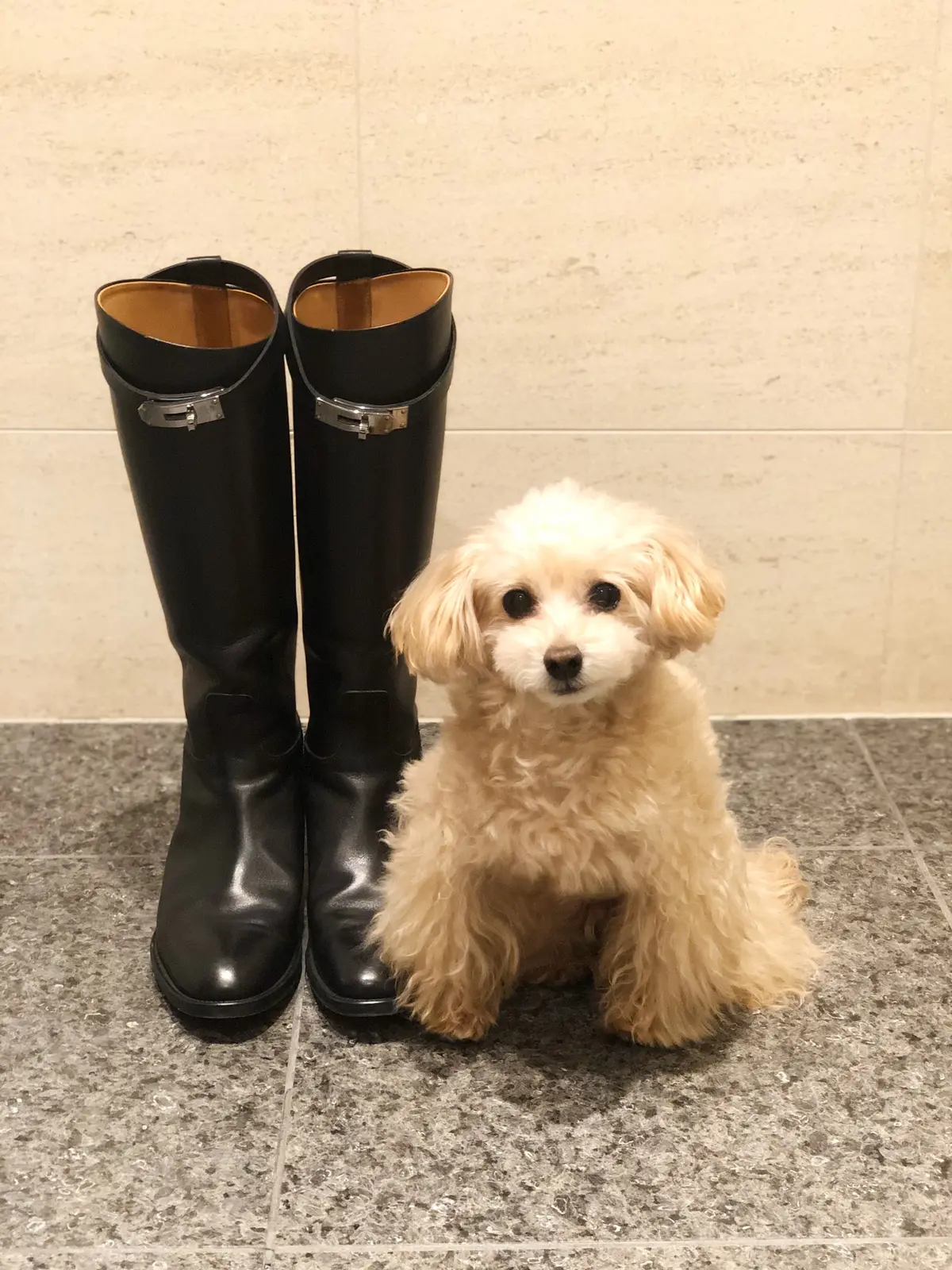 おしゃれをランクアップしてくれる乗馬ブーの画像_2