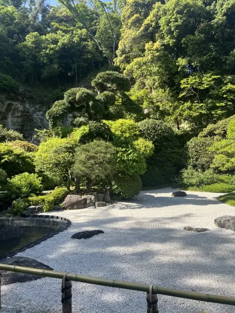 鎌倉ショートトリップ＠報国寺への画像_3