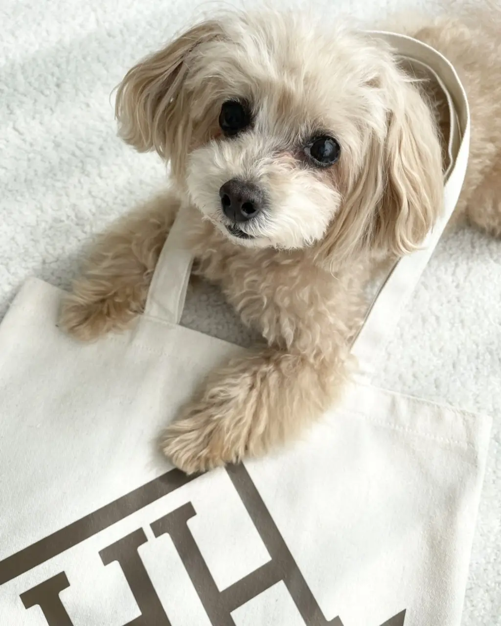 待ち遠しい！来月号の特別付録は『ヘルノ×の画像_6