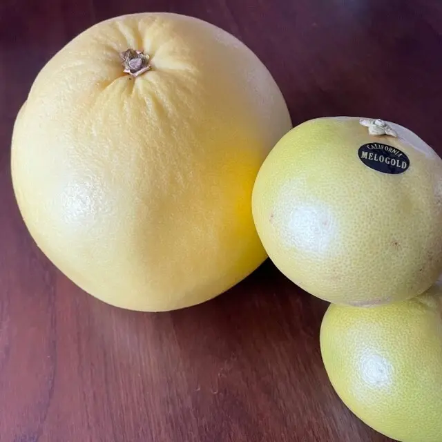 晩白柚　メロゴールド　グレープフルーツ