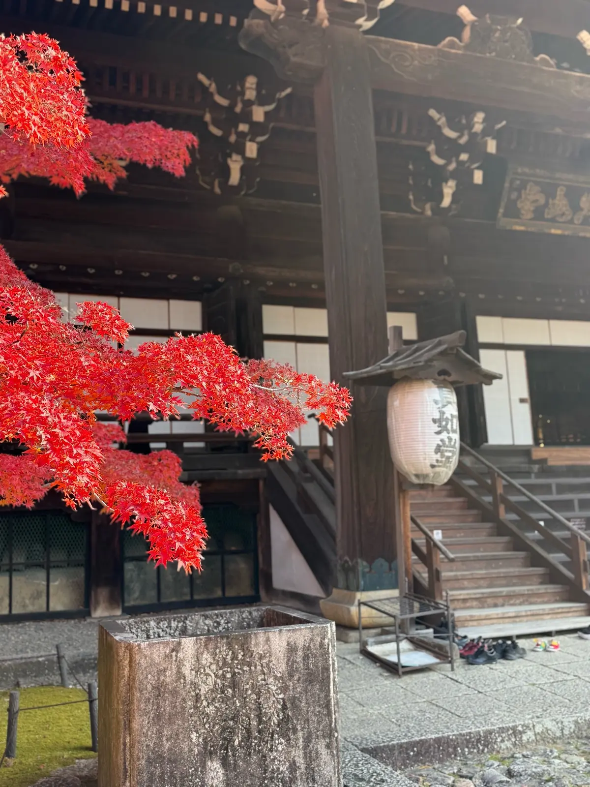 【大人の京都】寺院仏閣とお気に入りの秋のの画像_45