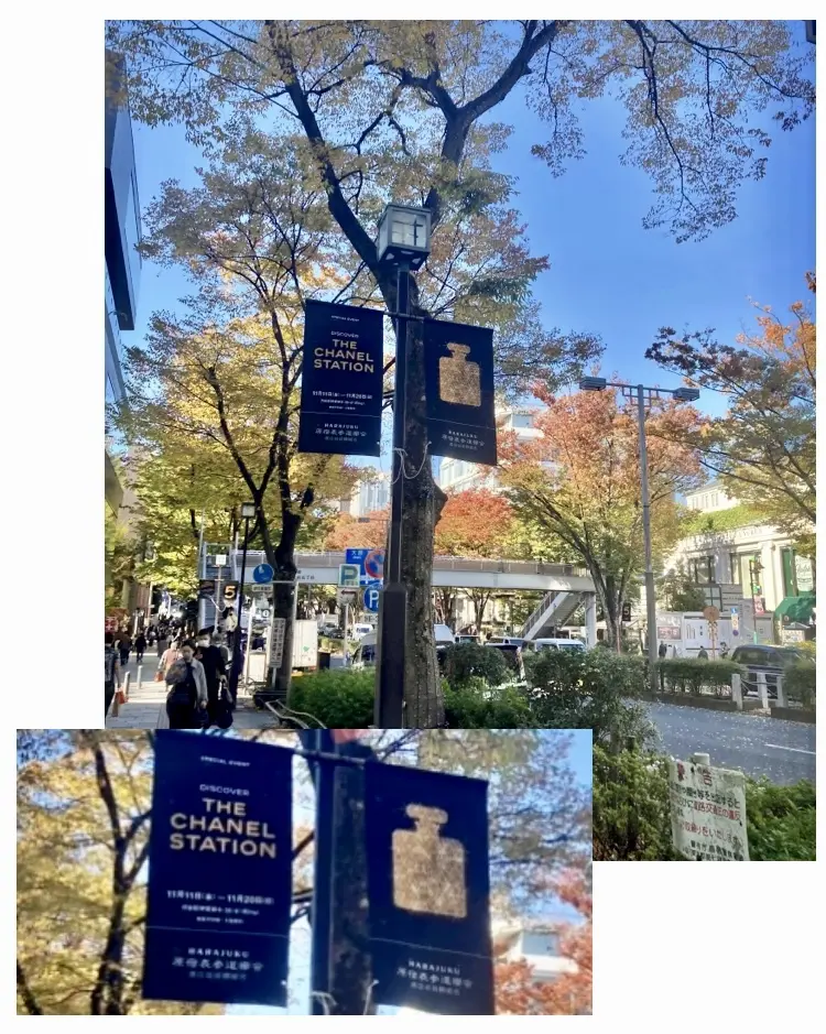 シャネル　ビューティー　美容　chanel candle here Marigat eclat MARISSIMO713マダム　no.5