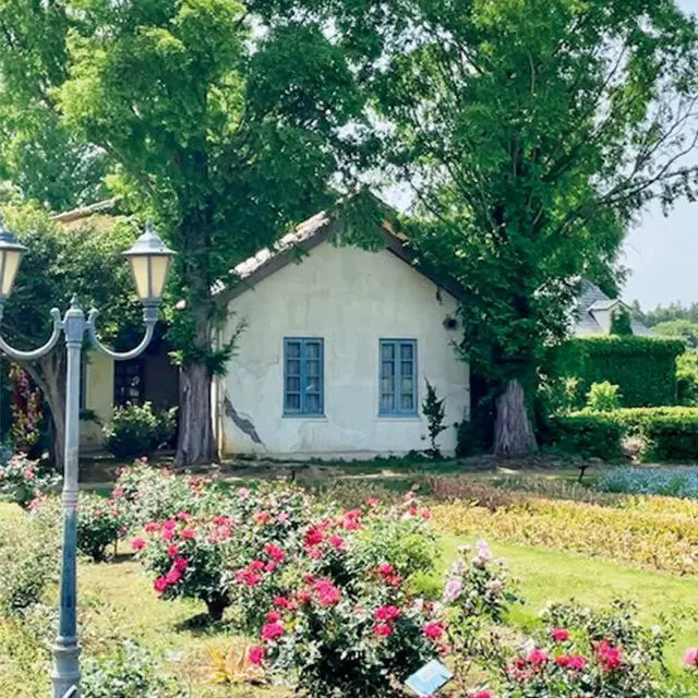 自然豊かな郊外へ 家族でドライブ